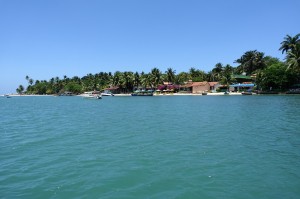 DSC09879